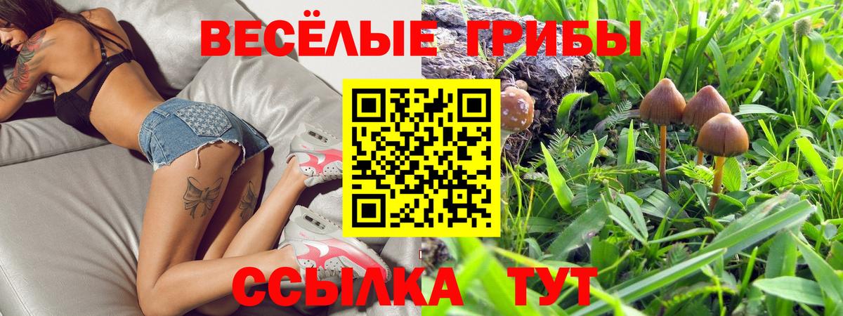 Еманжелинск  Псилоцибиновые грибы мухоморы  Вход с VPN 