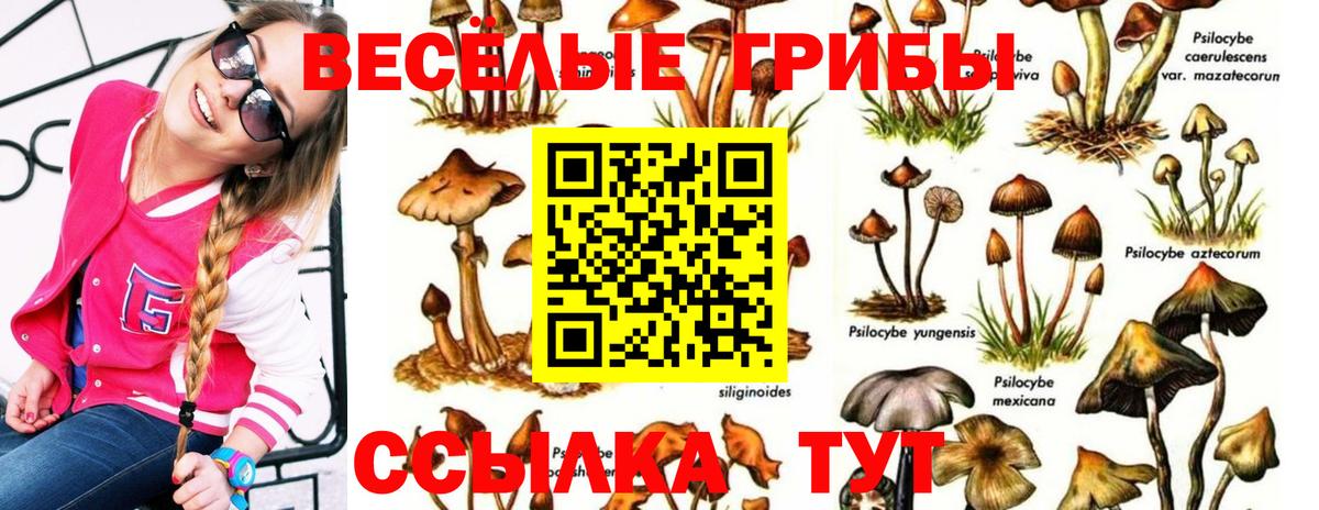 Галлюциногенные грибы GOLDEN TEACHER Еманжелинск